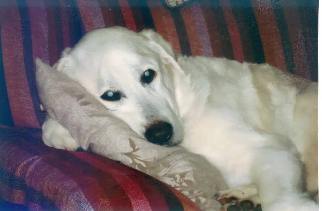 Condolence image of Unbekannt