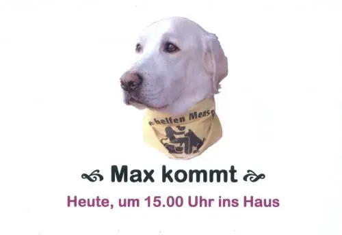 Image from Max
