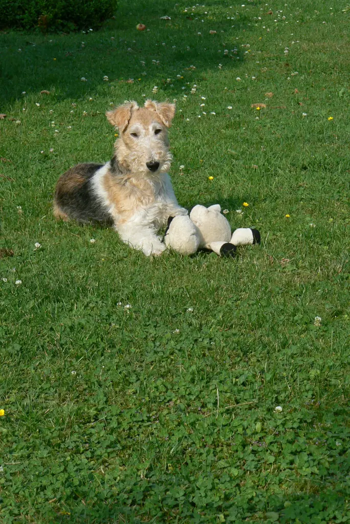 Andachtsbild von Marianne Köng