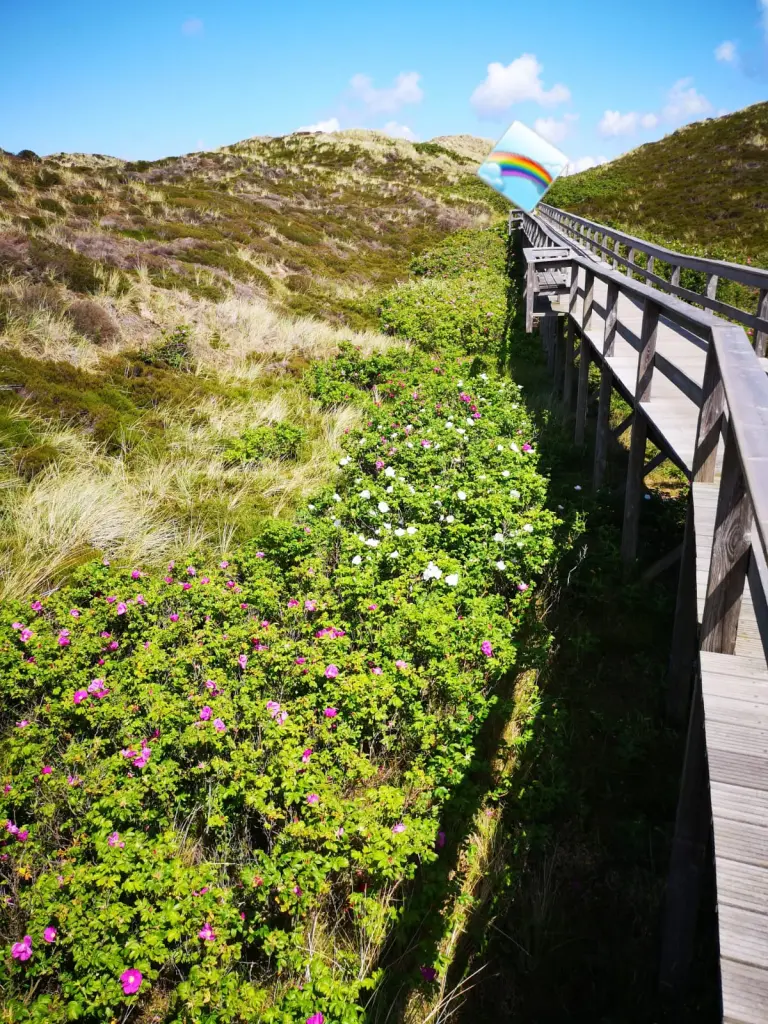 Condolence image of Eike und Edeltraud mit Mulle Miezi und Jonny tief im Herzen ♥️