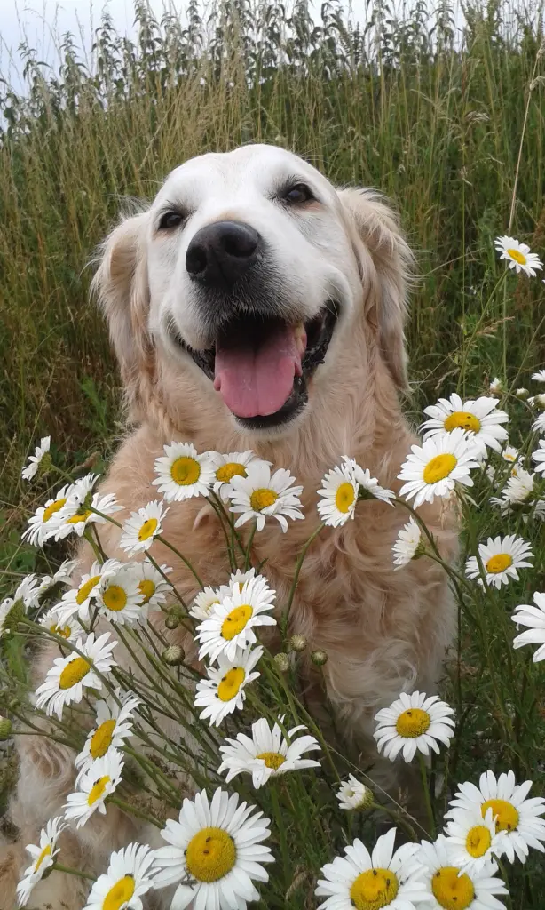 Condolence image of Unbekannt