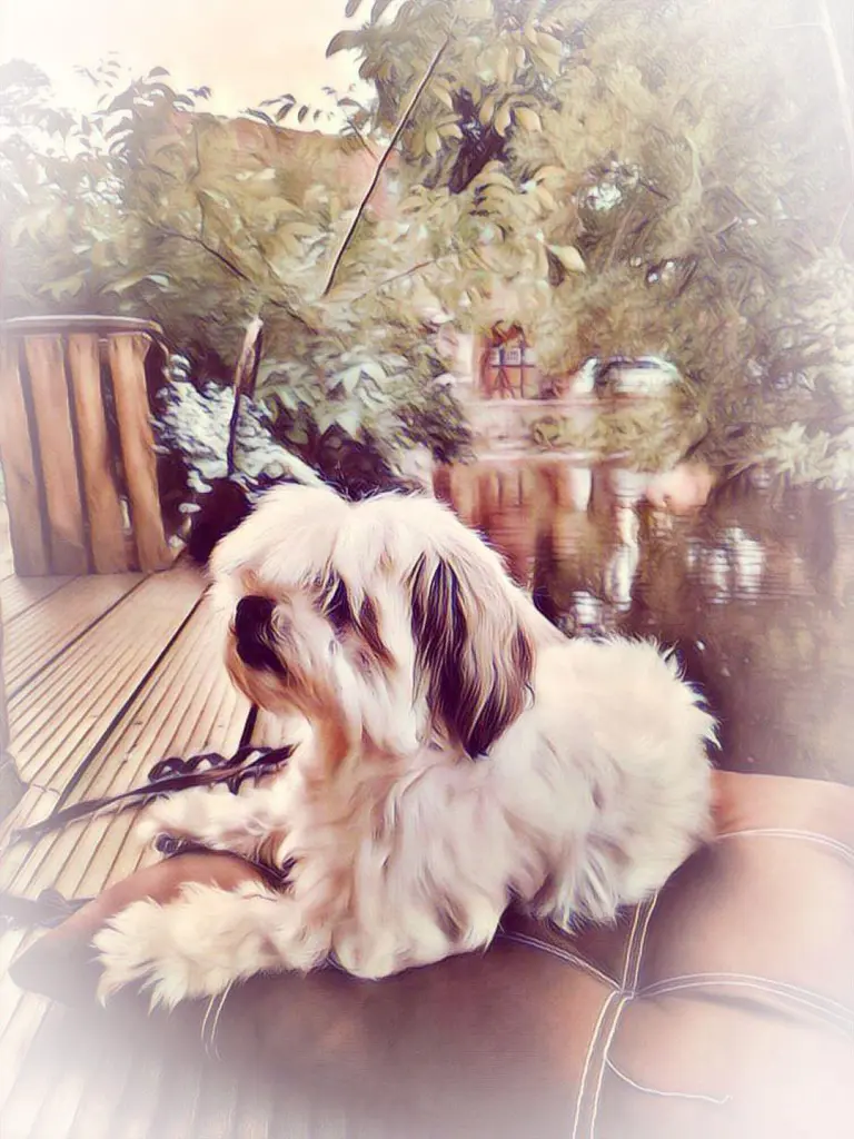 Image from Loona