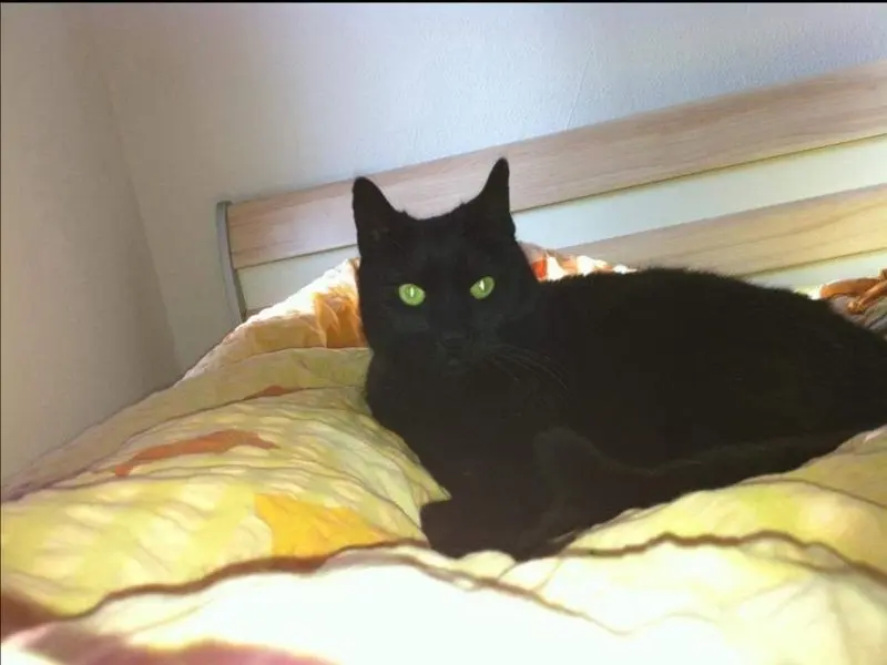 Condolence image of Nadja