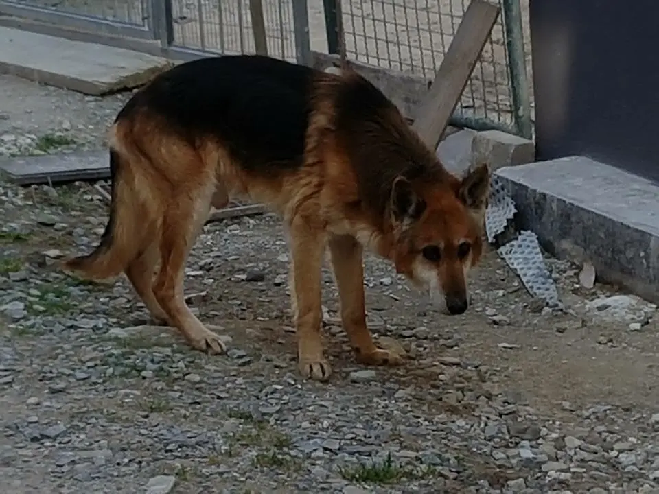 Image from Balu