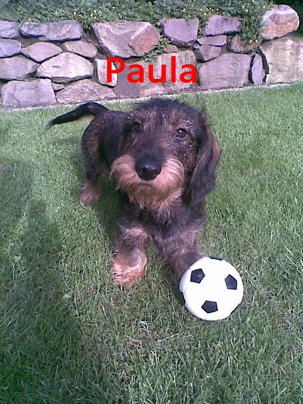 Image from Paula