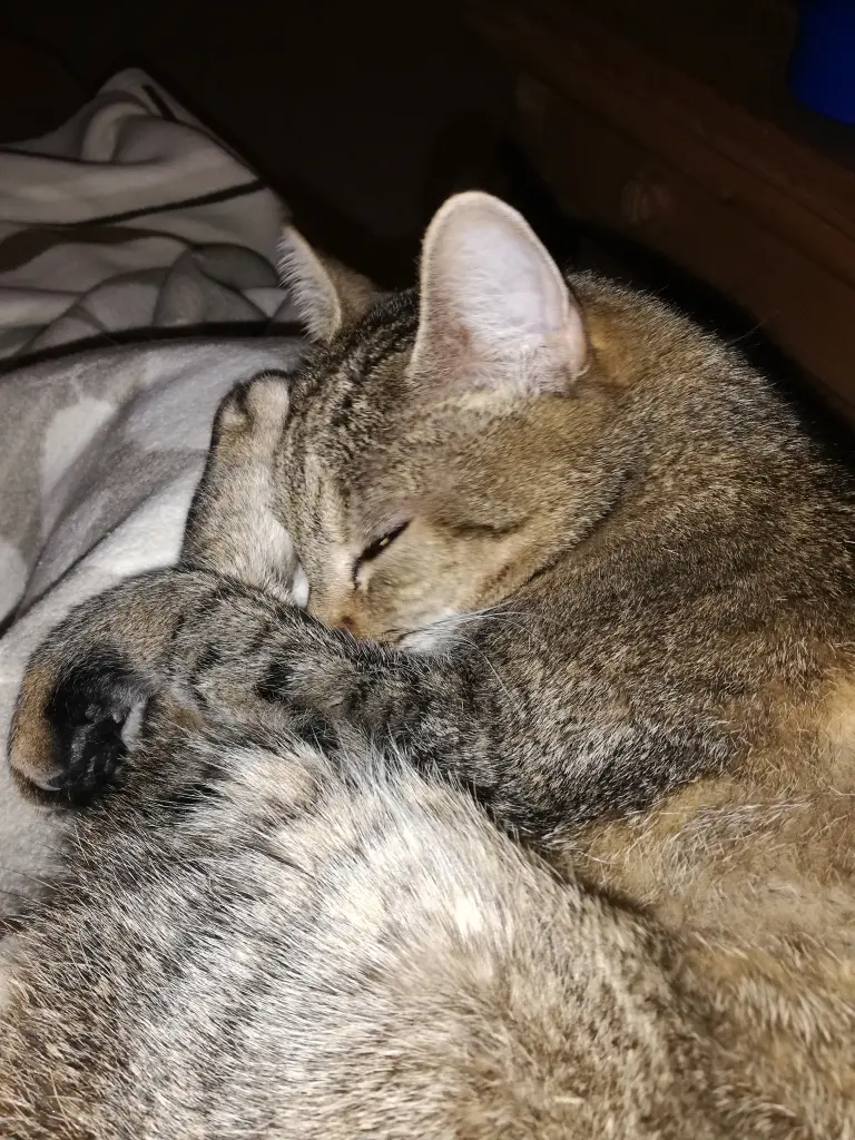 Andachtsbild von Gabi mit Lisa im Herzen 