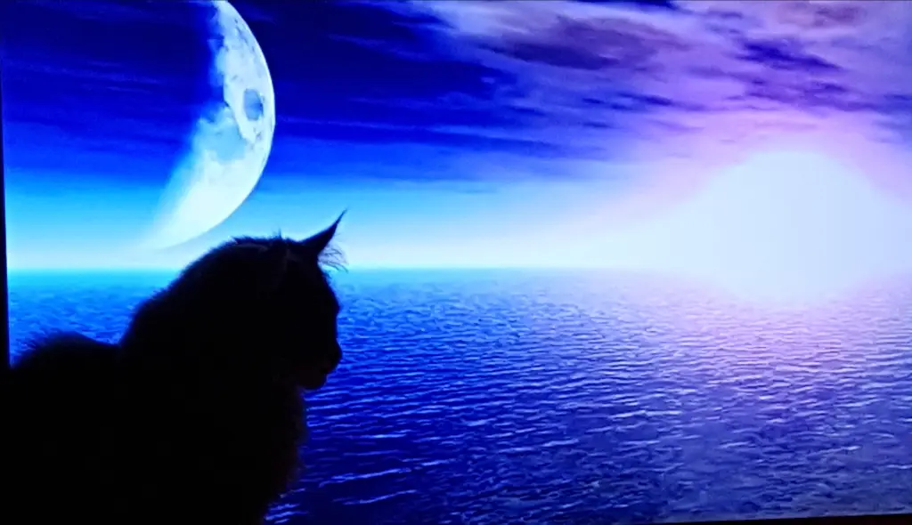 Andachtsbild von Brigitta mit Sam