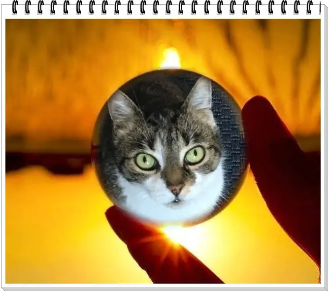 Andachtsbild von ❤️❤️❤️