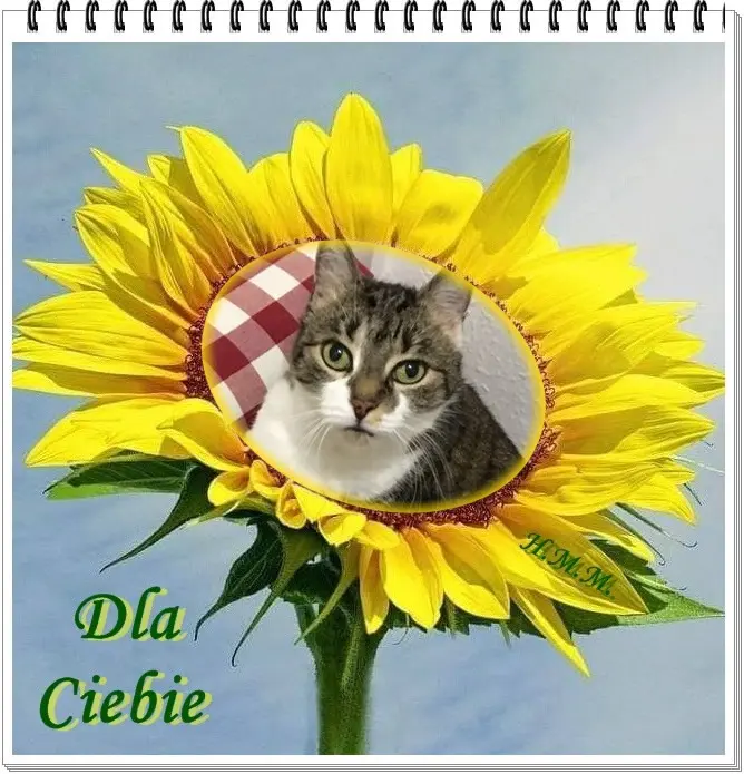 Andachtsbild von ❤️❤️❤️