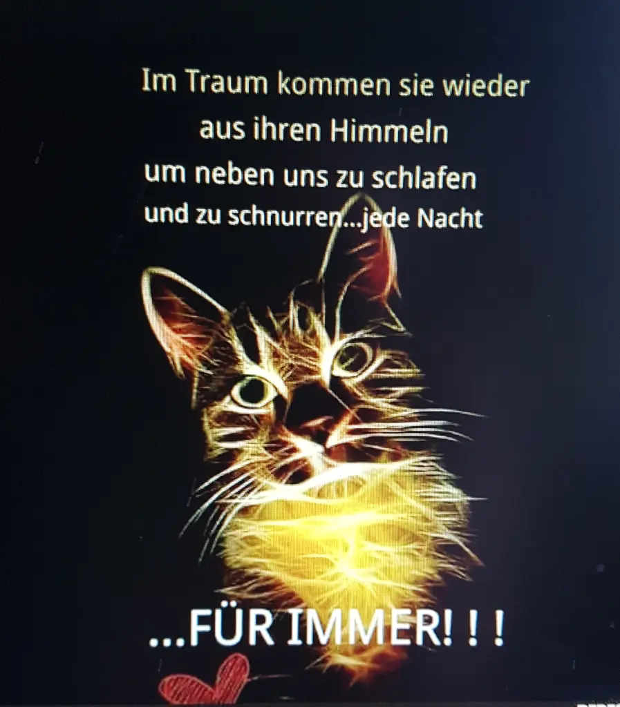 Andachtsbild von Brigitta mit Sam