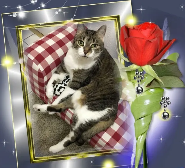 Andachtsbild von ❤️❤️❤️