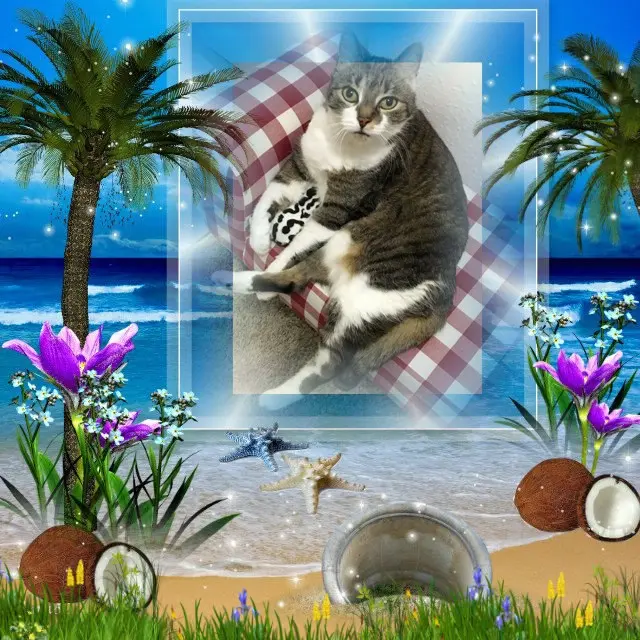 Andachtsbild von ❤️❤️❤️