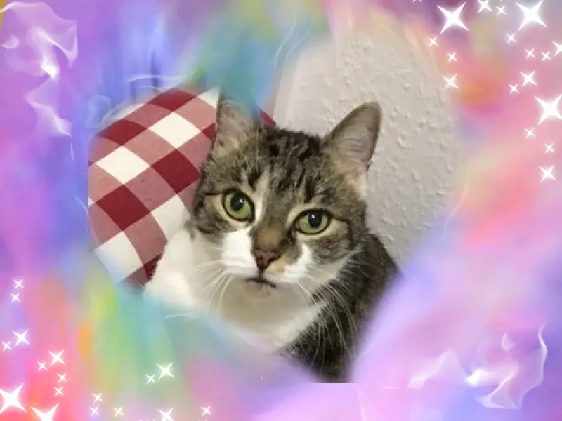 Andachtsbild von ❤️❤️❤️