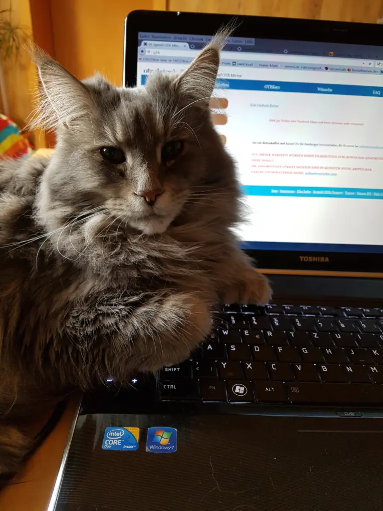 Andachtsbild von Brigitta mit Sam