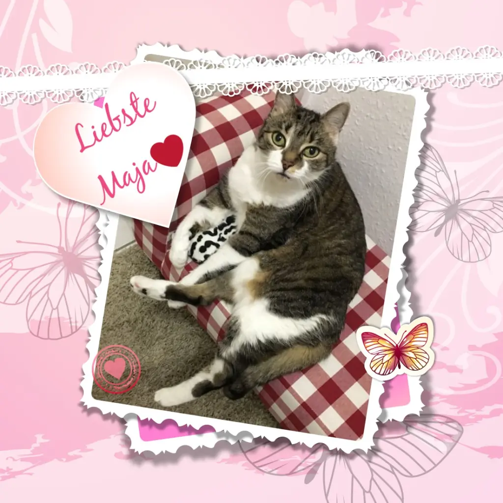 Andachtsbild von ❤️❤️❤️