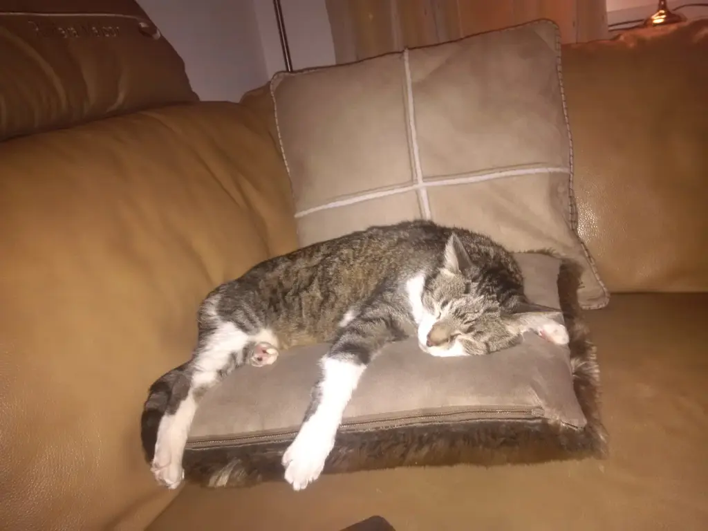 Andachtsbild von Anja Sven und Willi ♥♥♥