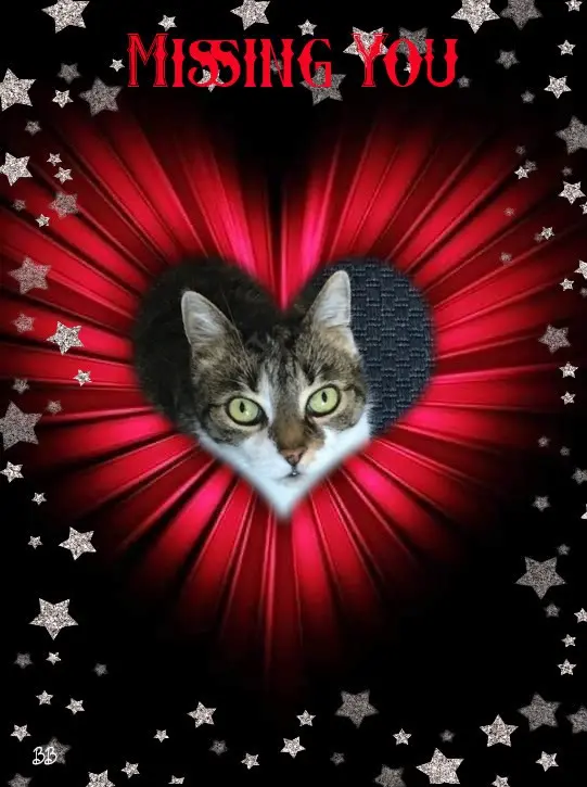 Andachtsbild von ❤️❤️❤️