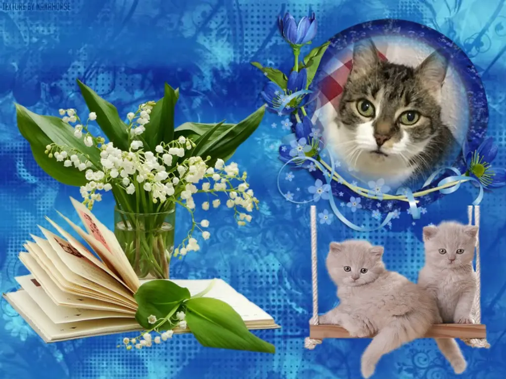 Andachtsbild von ❤️❤️❤️