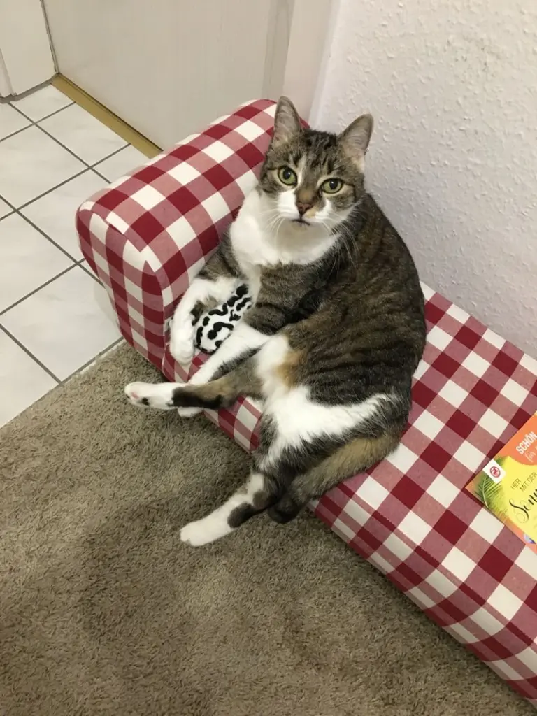 Andachtsbild von Maja