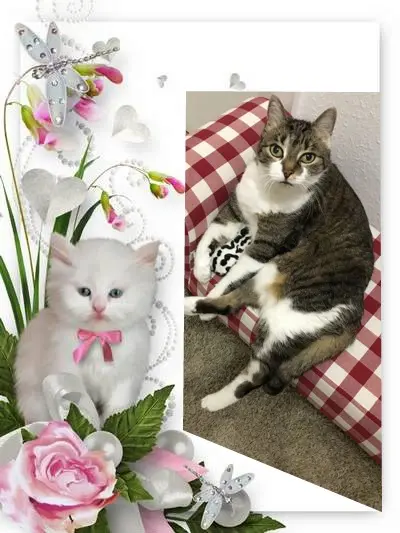 Andachtsbild von ❤️❤️❤️