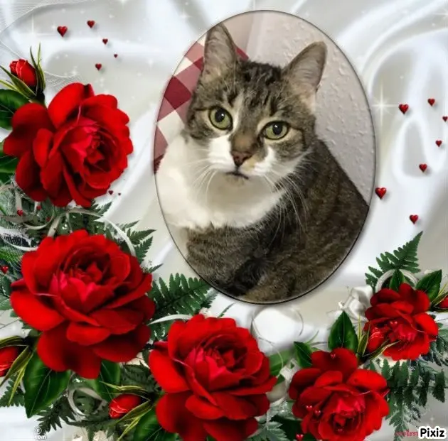 Andachtsbild von ❤️❤️❤️