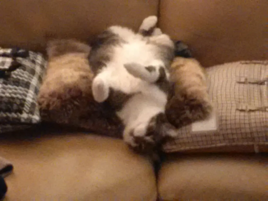 Andachtsbild von Anja♥♥♥