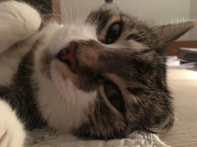 Andachtsbild von ♥♥♥♥♥♥