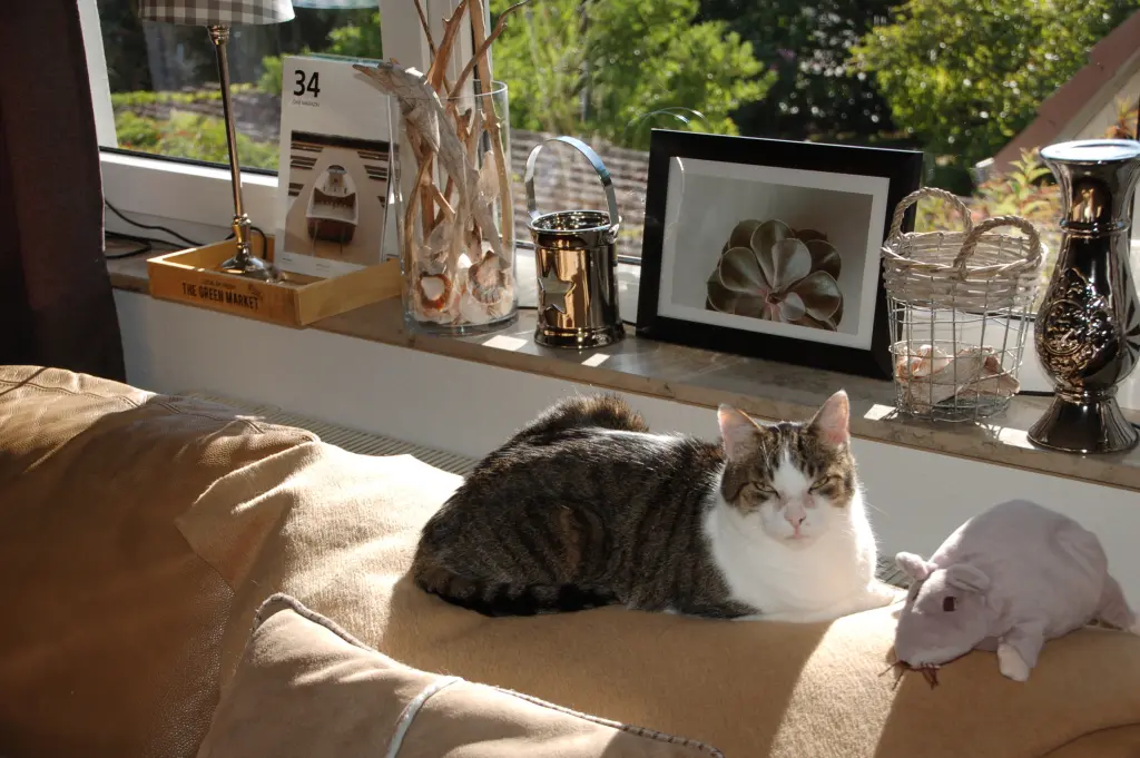 Andachtsbild von Anja