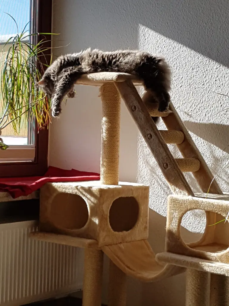 Andachtsbild von Wochenendgrüße von Brigitta und♥Sam♥