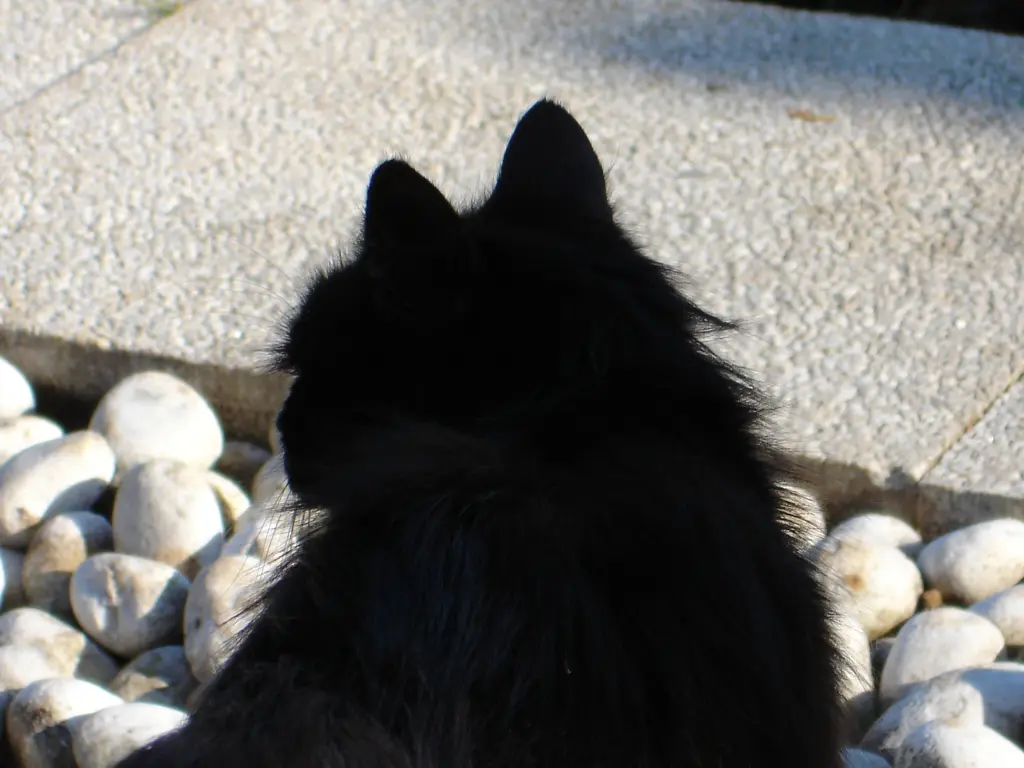 Andachtsbild von ♥♥♥♥♥♥