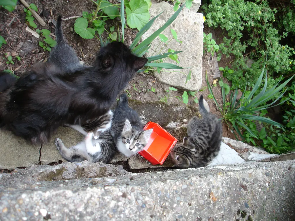 Andachtsbild von ♥♥♥♥♥♥