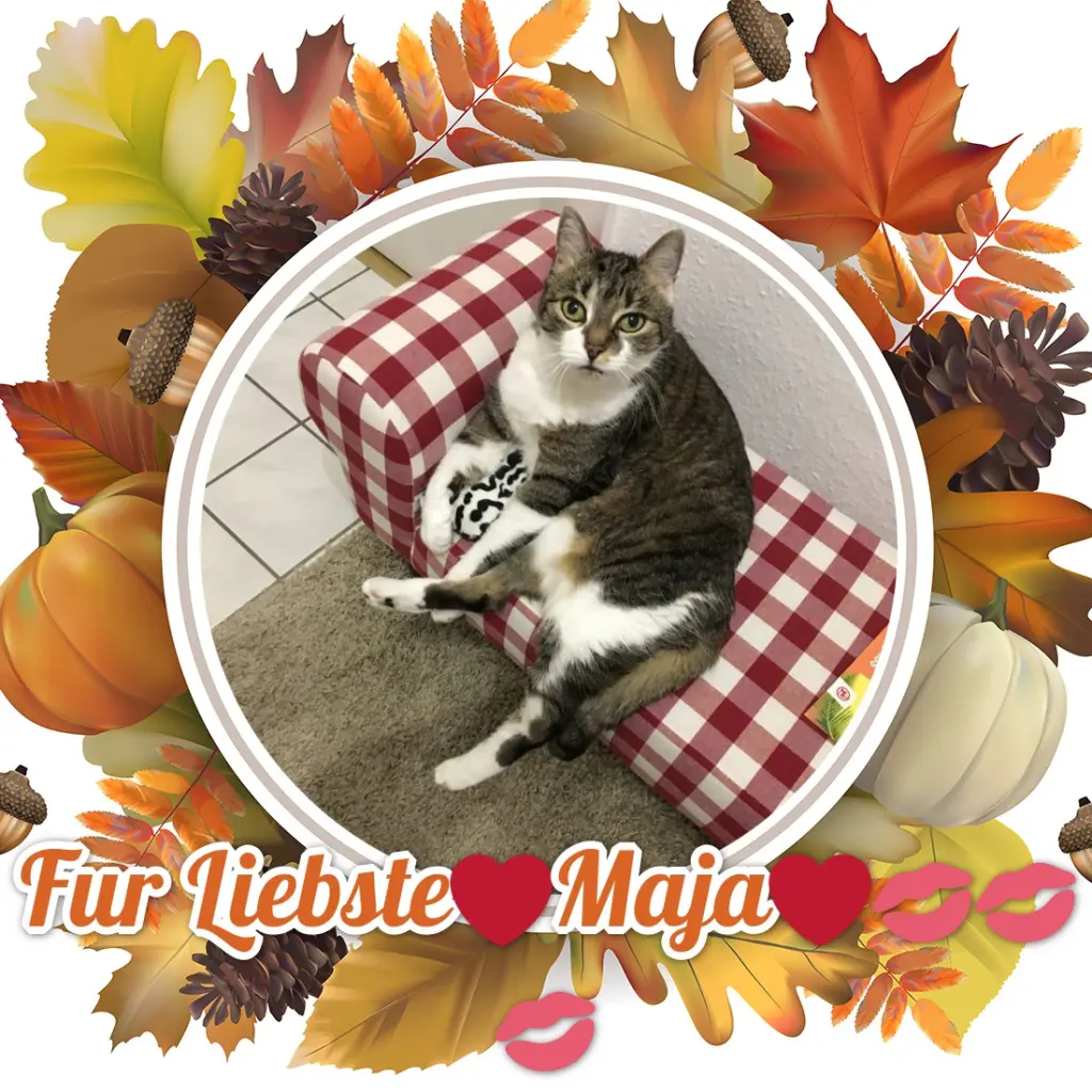 Andachtsbild von ❤️❤️❤️