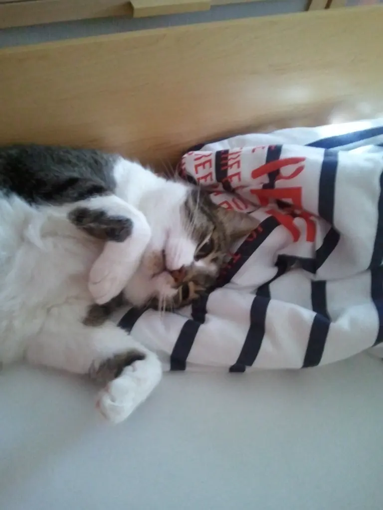 Andachtsbild von ♥♥♥♥♥♥