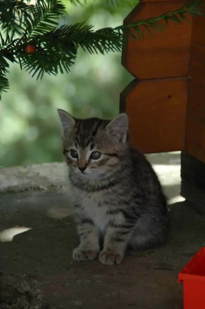 Andachtsbild von ♥♥♥♥♥♥