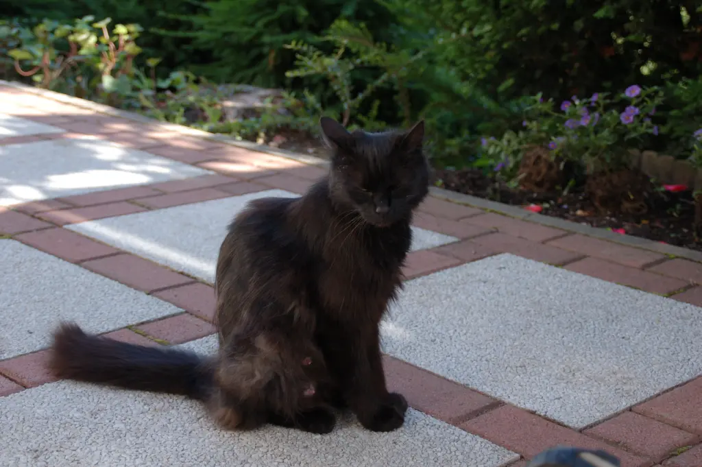 Andachtsbild von ♥♥♥♥♥♥