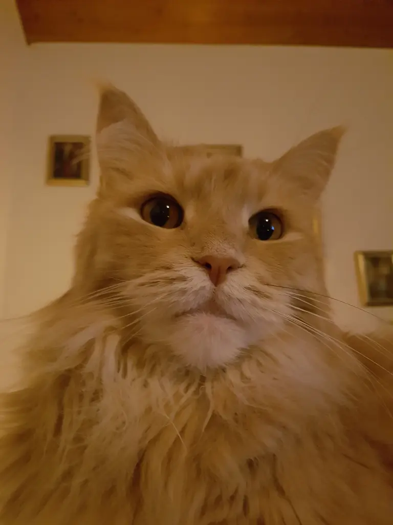 Andachtsbild von ♥♥♥Vielen lieben Dank♥♥♥