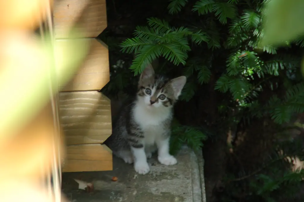 Andachtsbild von ♥♥♥♥♥♥