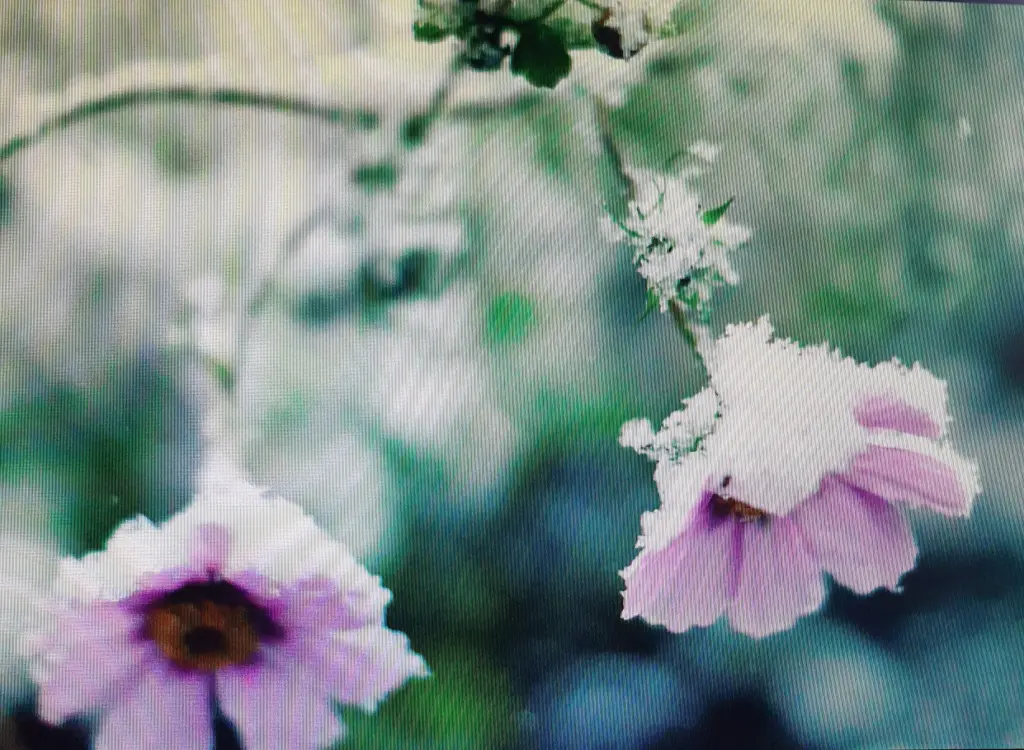 Andachtsbild von †22 Wochen†