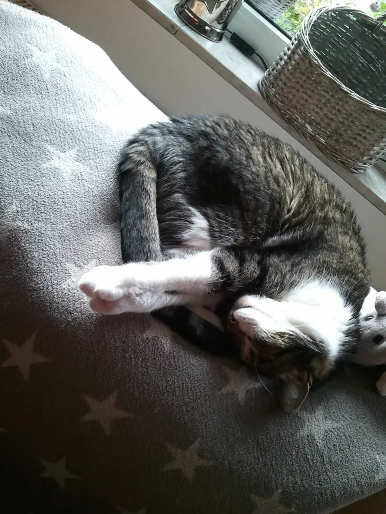 Andachtsbild von ♥♥♥♥♥♥