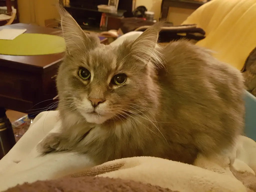 Andachtsbild von †25 Wochen†