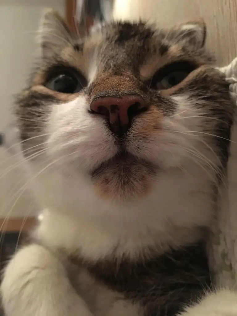 Andachtsbild von ♥ Für Bienchen ♥