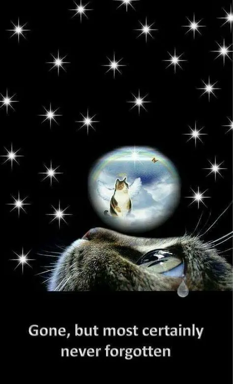 Andachtsbild von ♥Unvergessen♥