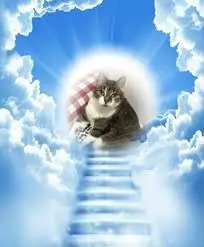 Andachtsbild von ❤️❤️❤️