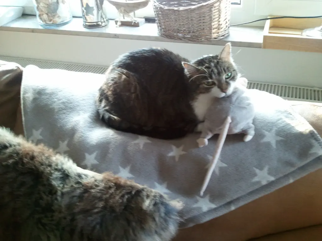 Andachtsbild von Für † 7 Monate