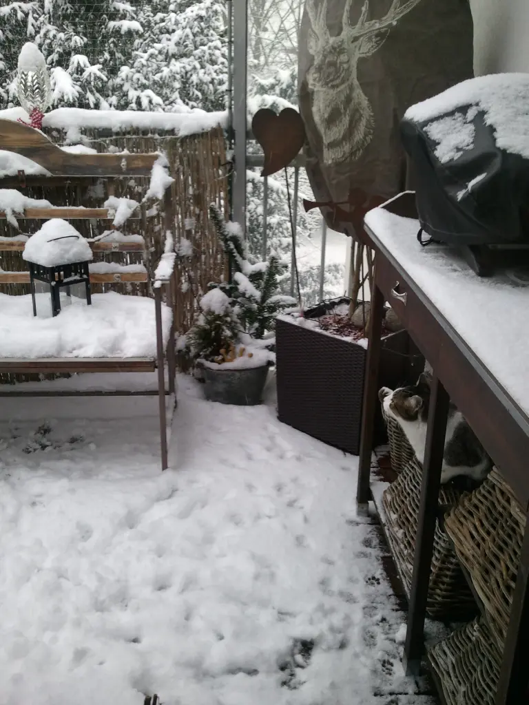 Andachtsbild von ♥♥♥♥♥♥