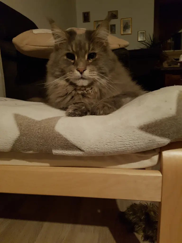 Andachtsbild von Für♥Maja♥für†33 Wochen†