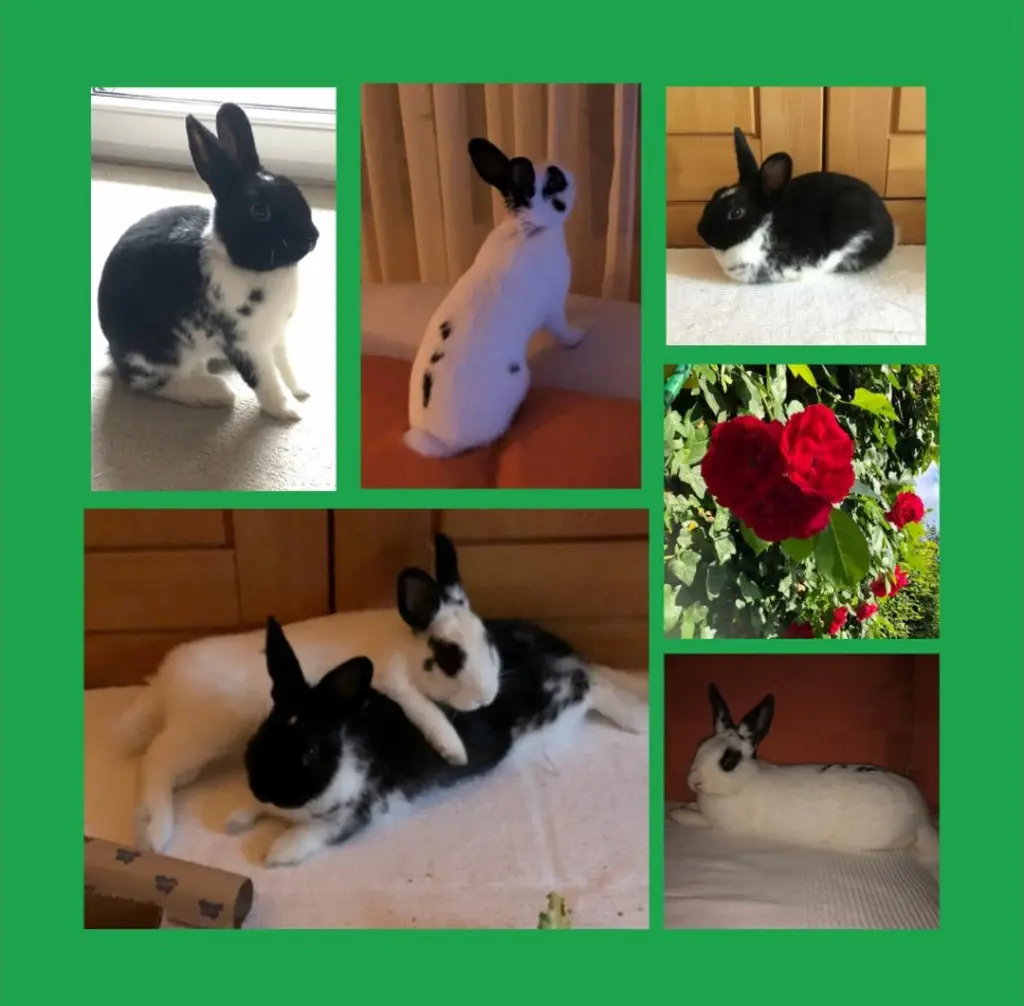 Andachtsbild von Mimmi & Milko