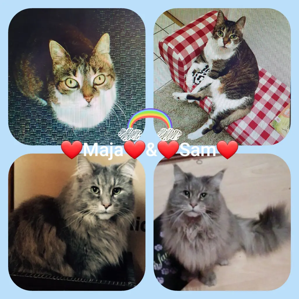 Andachtsbild von Für♥Maja♥für†34 Wochen†