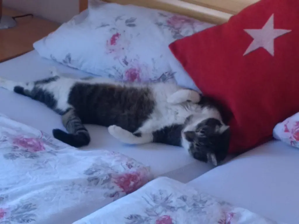 Andachtsbild von ♥100000.... Küsse für dich♥