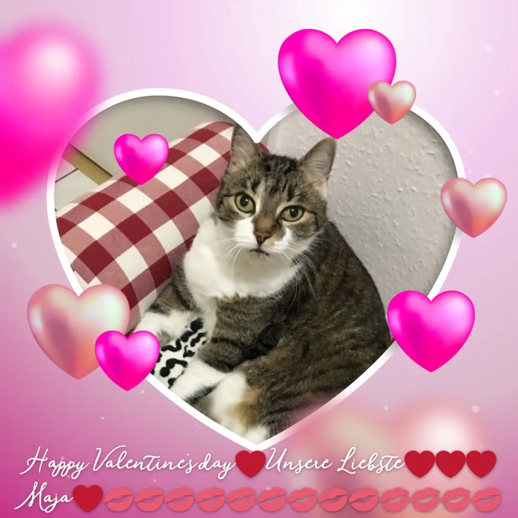 Andachtsbild von ❤️❤️❤️